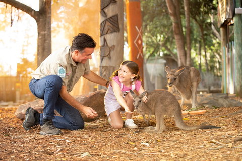 Dreamworld - QLD Tourism 2