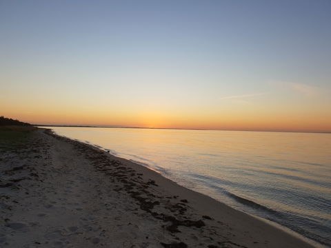 Dromana Beach - Queensland Tourism 0