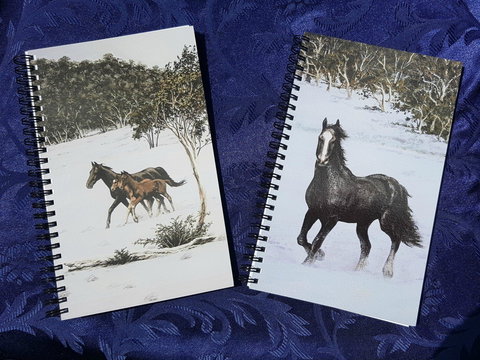 Dungog Arts Society - Queensland Tourism 2