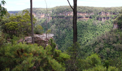 East Rim Wildflower Walking Track - Queensland Tourism 0
