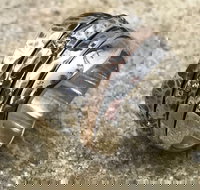 Eclectopia Gifts and Specialty Homewares - QLD Tourism