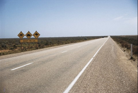 Eyre Highway - QLD Tourism 0