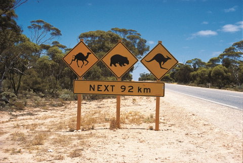 Eyre Highway - QLD Tourism 1