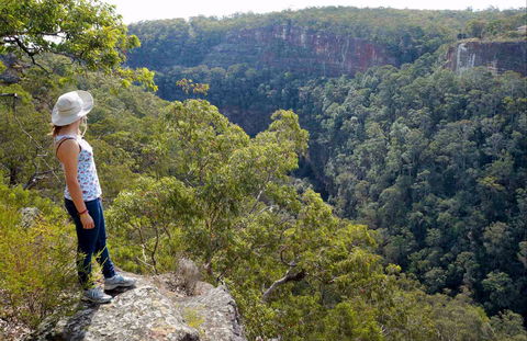 Glenbrook Gorge Track - QLD Tourism 0