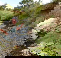 Gold Panning Deep Creek - QLD Tourism