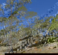 Green track - QLD Tourism