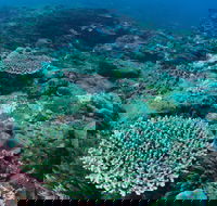 Hanging Rock Dive Site - QLD Tourism