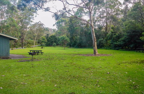 Haynes Flat Picnic Area - QLD Tourism 0