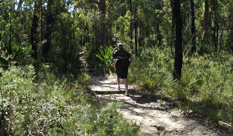 Karloo Walking Track - QLD Tourism 0