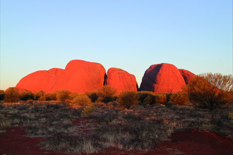 Kata Tjuta Dune Viewing Area - QLD Tourism 0