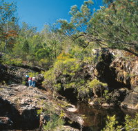 Kroombit Tops National Park - QLD Tourism