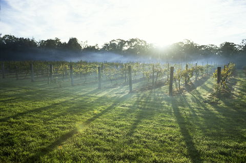 Leeton - Queensland Tourism 1