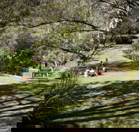 Leura Cascades picnic area - QLD Tourism