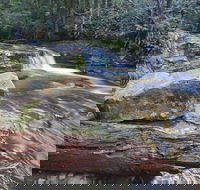 Liffey Falls Reserve - QLD Tourism