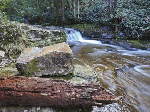 Liffey Falls Reserve - QLD Tourism 0
