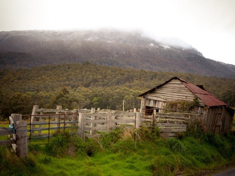 Liffey Falls Reserve - QLD Tourism 2