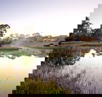 McClelland Sculpture Park  Gallery - QLD Tourism