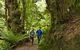 Melba Gully - thumb 0