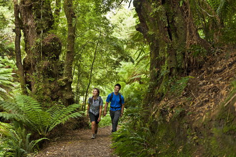 Melba Gully - QLD Tourism 0