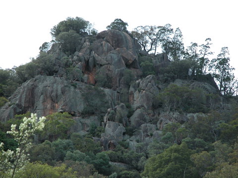 Mount Yarrowyck Nature Reserve - QLD Tourism 0