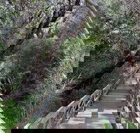 Mulwaree River Walkway - QLD Tourism