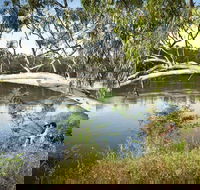 Murray Valley National Park - QLD Tourism