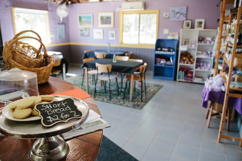 Nannup Lavender Farm - QLD Tourism 0
