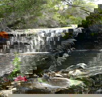 Nellies Glen Picnic Area - Queensland Tourism