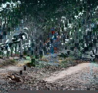 Nerang Mountain Bike Trails - Queensland Tourism
