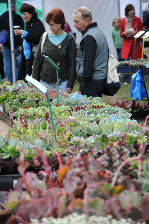 Portsea Market - QLD Tourism 0