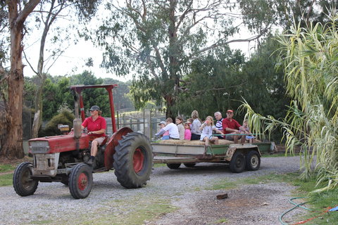 Rain Hayne And Shine Farmyard - QLD Tourism 1