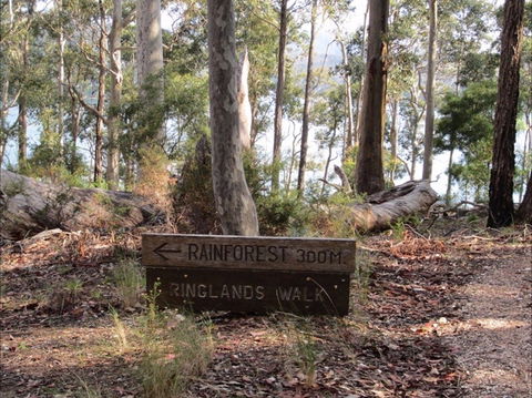 Ringlands Rotary Walk Narooma - Queensland Tourism 0