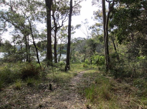 Ringlands Rotary Walk Narooma - Queensland Tourism 2
