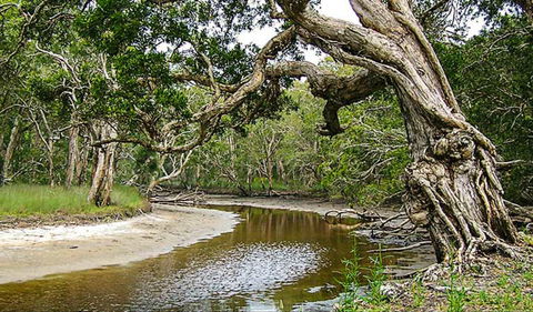 Saltwater National Park - QLD Tourism 0