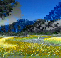 Shearer's Way - QLD Tourism
