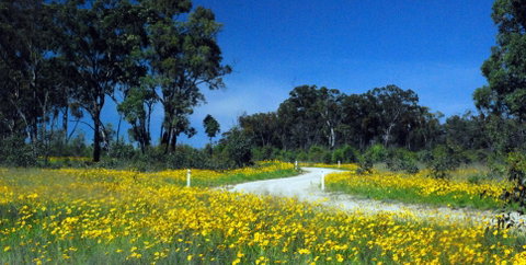 Shearer's Way - QLD Tourism 0