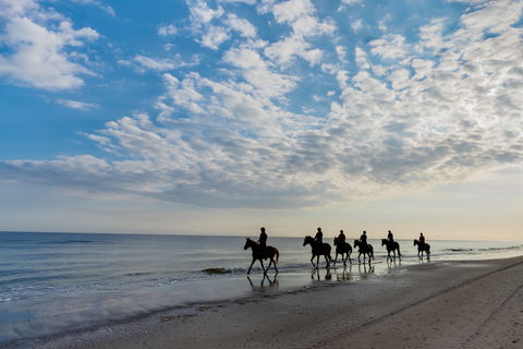 South Coast Experiences - QLD Tourism 2