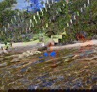 Tjaynera Falls Sandy Creek - QLD Tourism