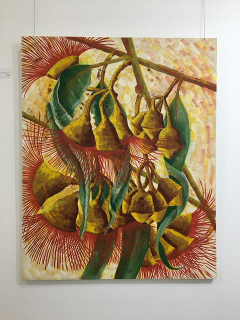 Wacky Bird Gallery - QLD Tourism 1