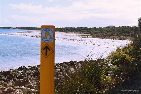 Walk The Yorke Trail - Queensland Tourism 2
