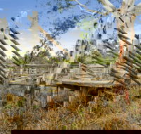 Wandoan - QLD Tourism