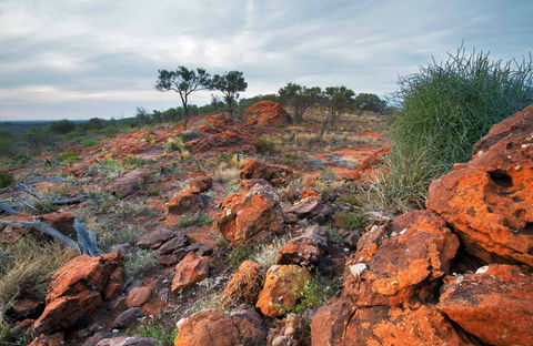 Western Ridge Walk - QLD Tourism 0