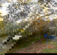 Yarrangobilly Caves  River walk - QLD Tourism