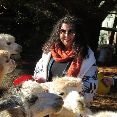 Alpaca Farm Experience At Crookwell - QLD Tourism 1