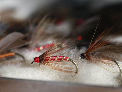 Australian Fly Fishing Museum - Queensland Tourism 0