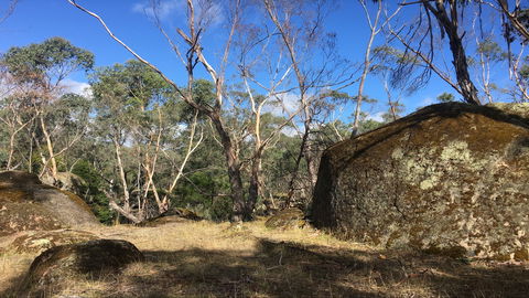 Bailey's Rocks - Dergholm State Park - QLD Tourism 0