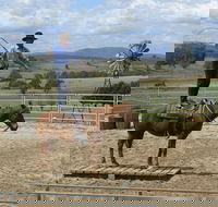 Boggy Creek Show - QLD Tourism