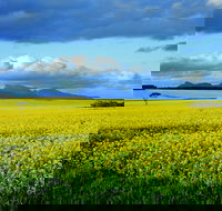 Borden - Queensland Tourism