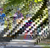 Bright to Wandiligong 5.5km - Queensland Tourism