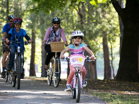 Bright To Wandiligong 5.5km - Queensland Tourism 0